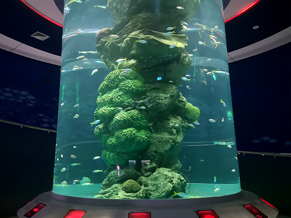 Institute of Marine Science Burapha University