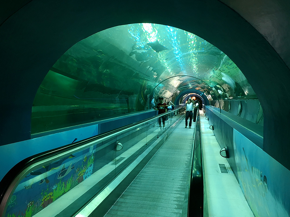 Institute of Marine Science Burapha University