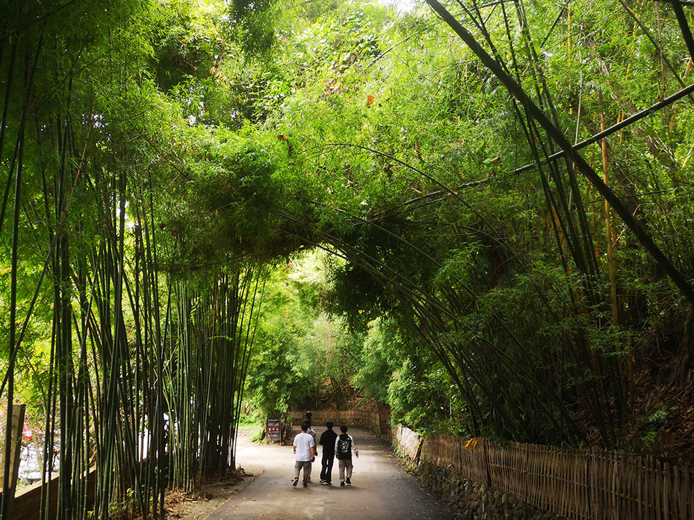 Wat Pha Lat - Chiang Mai's Hidden Temple