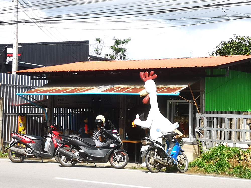 Dan Chicken Rice San Sai Chiang Mai