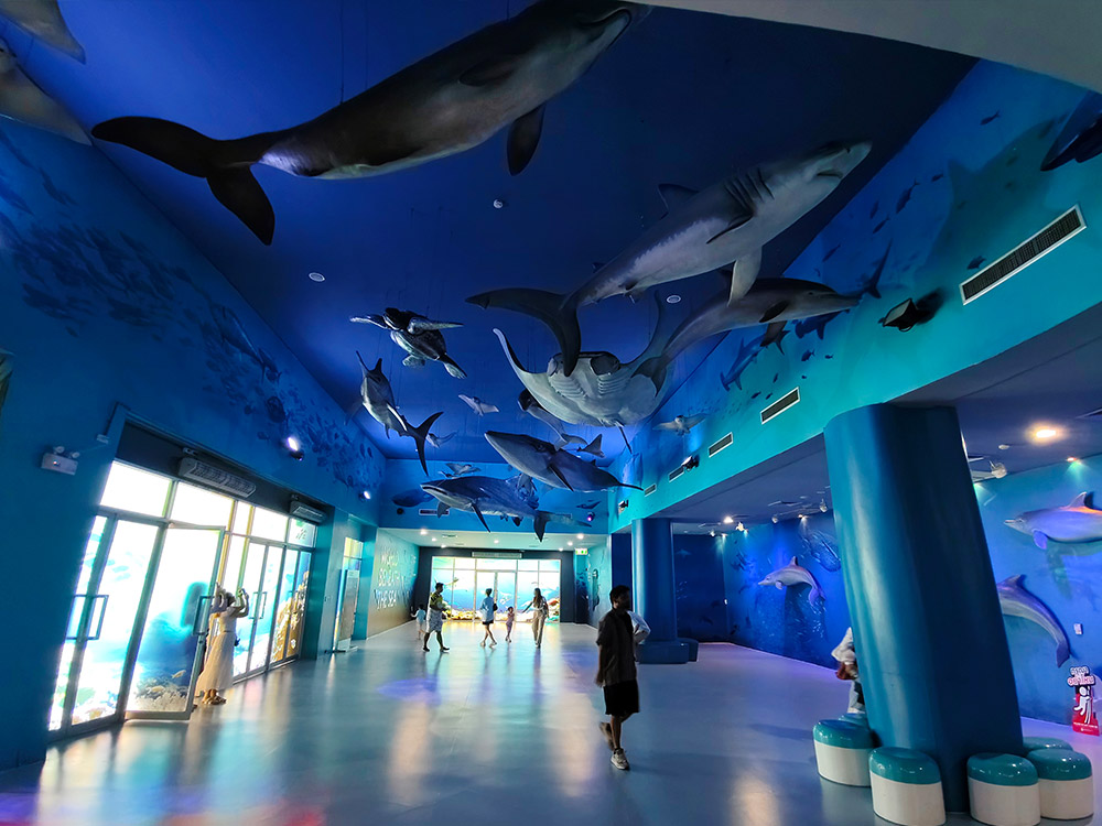 Institute of Marine Science Burapha University