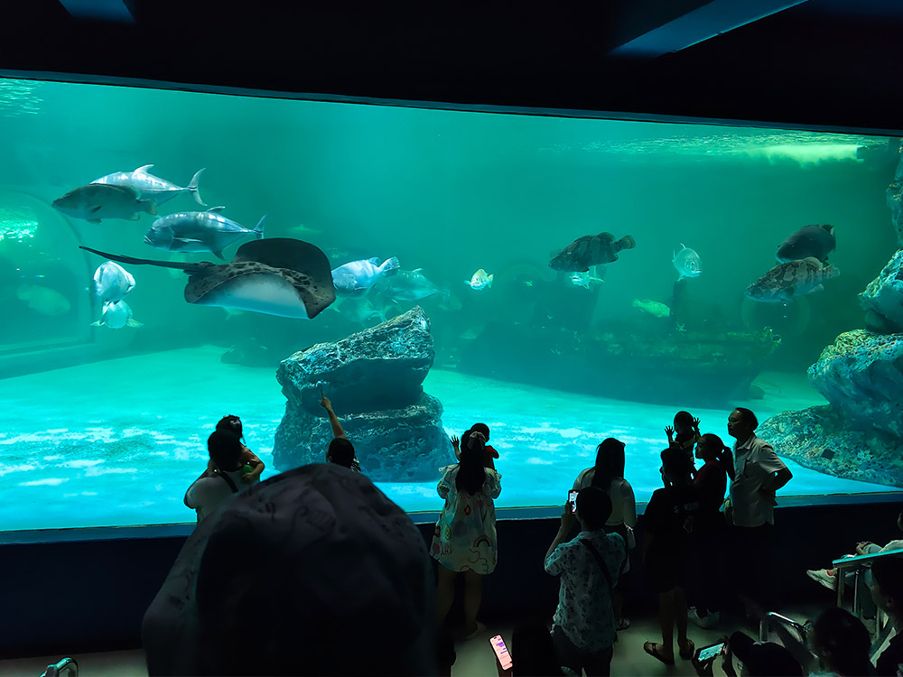 Institute of Marine Science Burapha University