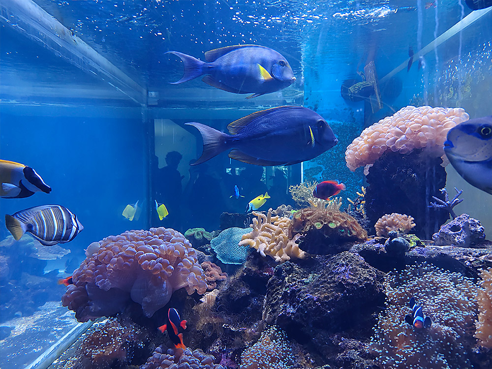 Institute of Marine Science Burapha University