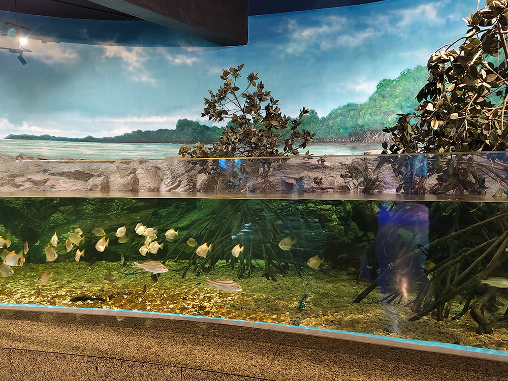 Institute of Marine Science Burapha University